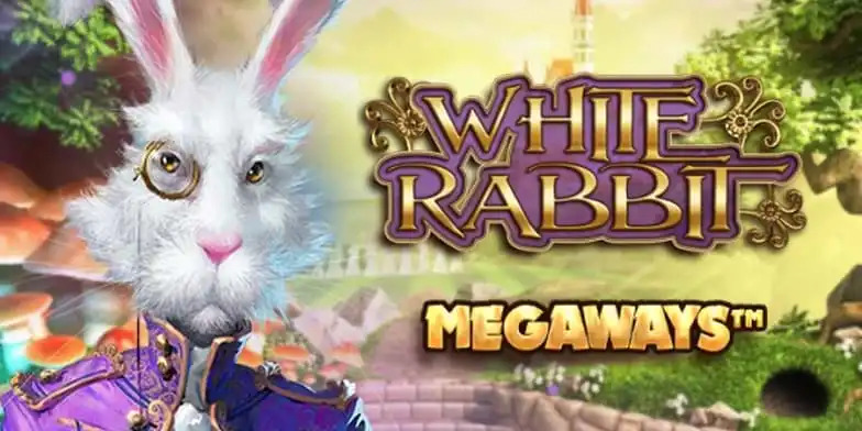 White Rabbit